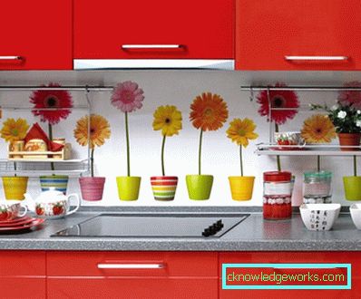 Cocinas de plástico - 73 fotos de hermoso diseño de muebles modernos