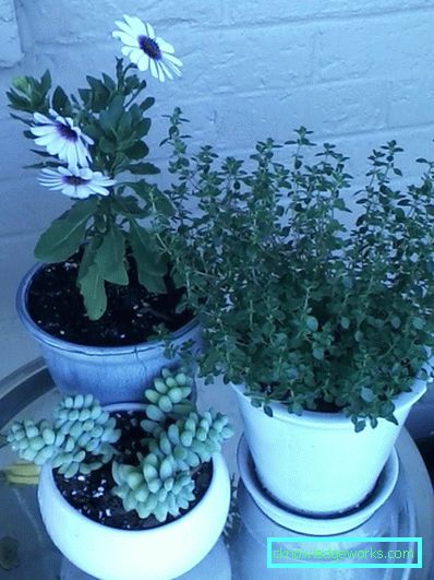Diseñar un balcón en el apartamento - como debe ser
