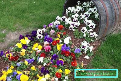 50 camas de flores de diseño en la casa de campo