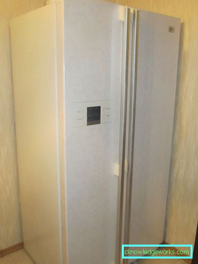 LG refrigerador de dos puertas