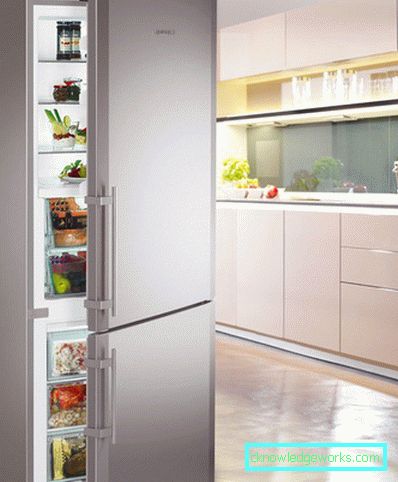Frigorífico Liebherr Frigorífico Liebherr