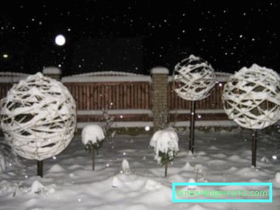 258-Cómo decorar un jardín en invierno.