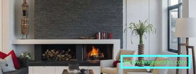 Chimeneas en el interior de una sala de estar en un apartamento de la ciudad (diseño de 50 fotos)
