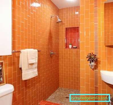 Baño pequeño de 2 metros cuadrados.
