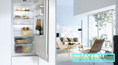 Los mejores refrigeradores de una sola cámara. Los mejores refrigeradores de una sola cámara.