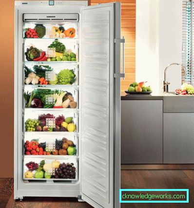 Los mejores refrigeradores de una sola cámara. Los mejores refrigeradores de una sola cámara.