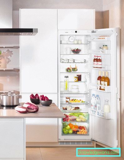 Los mejores refrigeradores de una sola cámara. Los mejores refrigeradores de una sola cámara.