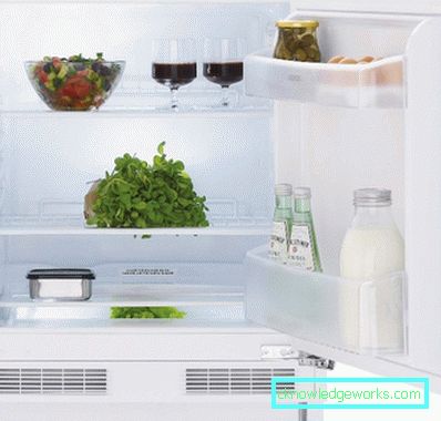 Los mejores refrigeradores de una sola cámara. Los mejores refrigeradores de una sola cámara.
