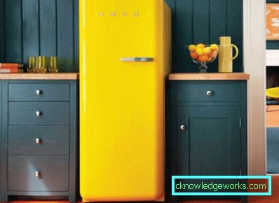 Los mejores refrigeradores de una sola cámara. Los mejores refrigeradores de una sola cámara.