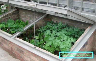 ¿Cómo hacer un invernadero para plantas? ¿Cómo hacer un invernadero para plantas?