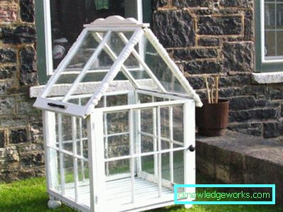 ¿Cómo hacer un invernadero para plantas? ¿Cómo hacer un invernadero para plantas?