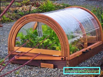 ¿Cómo hacer un invernadero para plantas? ¿Cómo hacer un invernadero para plantas?