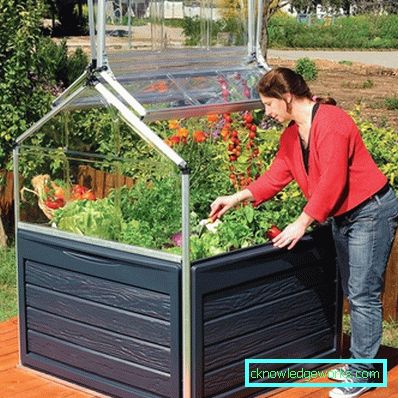 ¿Cómo hacer un invernadero para plantas? ¿Cómo hacer un invernadero para plantas?