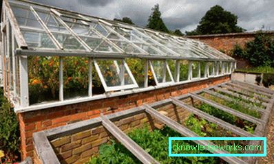 ¿Cómo hacer un invernadero para plantas? ¿Cómo hacer un invernadero para plantas?