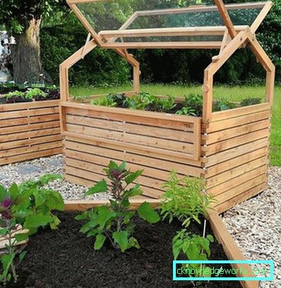 ¿Cómo hacer un invernadero para plantas? ¿Cómo hacer un invernadero para plantas?