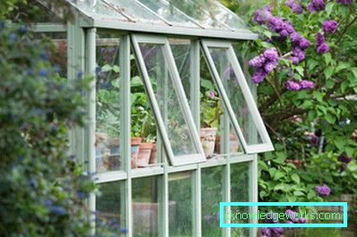 ¿Cómo hacer un invernadero para plantas? ¿Cómo hacer un invernadero para plantas?