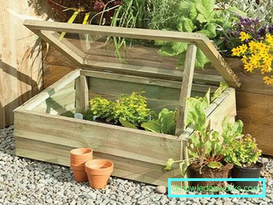 ¿Cómo hacer un invernadero para plantas? ¿Cómo hacer un invernadero para plantas?