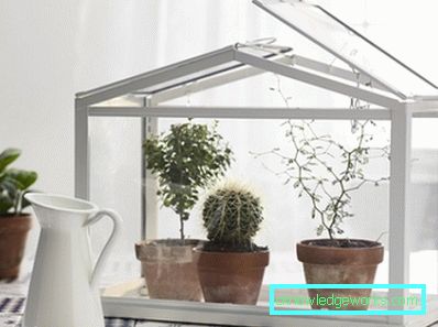 ¿Cómo hacer un invernadero para plantas? ¿Cómo hacer un invernadero para plantas?