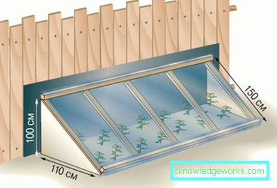 ¿Cómo hacer un invernadero para plantas? ¿Cómo hacer un invernadero para plantas?