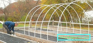 ¿Cómo hacer un invernadero para plantas? ¿Cómo hacer un invernadero para plantas?
