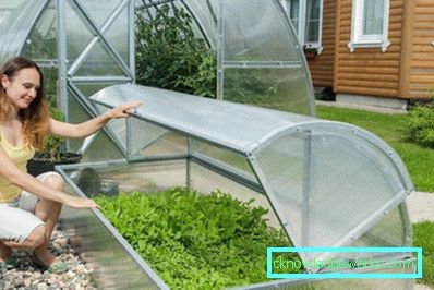 ¿Cómo hacer un invernadero para plantas? ¿Cómo hacer un invernadero para plantas?