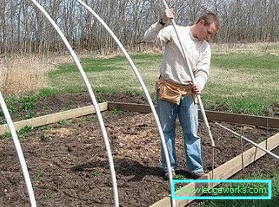 ¿Cómo hacer un invernadero para plantas? ¿Cómo hacer un invernadero para plantas?