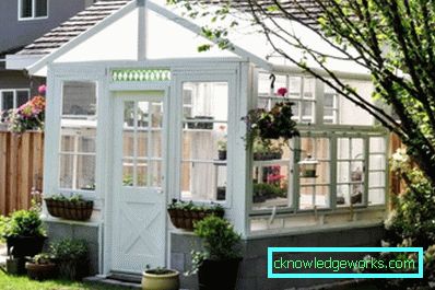 ¿Cómo hacer un invernadero para plantas? ¿Cómo hacer un invernadero para plantas?