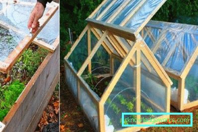 ¿Cómo hacer un invernadero para plantas? ¿Cómo hacer un invernadero para plantas?