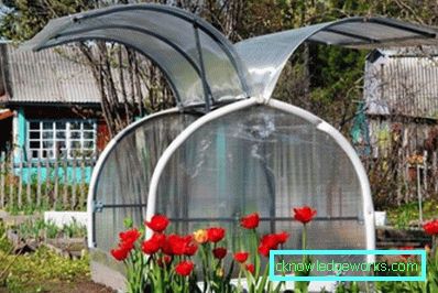¿Cómo hacer un invernadero para plantas? ¿Cómo hacer un invernadero para plantas?