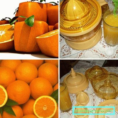 Los mejores exprimidores de cítricos de marcas famosas. Los mejores exprimidores de cítricos de marcas famosas.