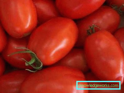 Cohete de 188 tomates
