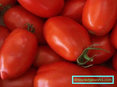 Cohete de 188 tomates